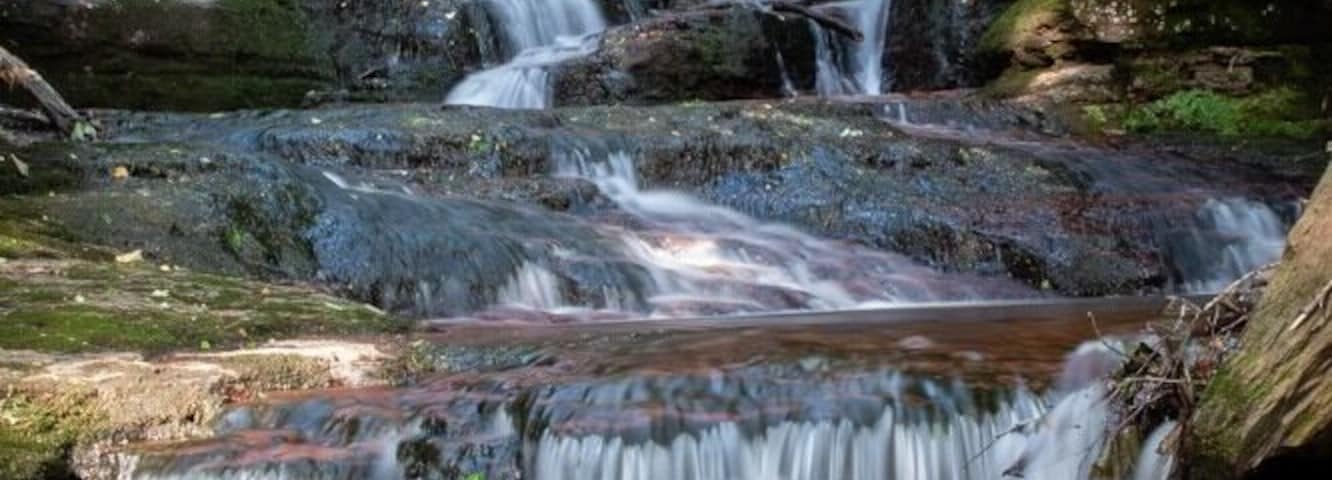 Found some waterfalls at Prompton state park.