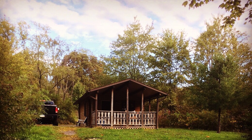 Rental cabins of Yellow Creek