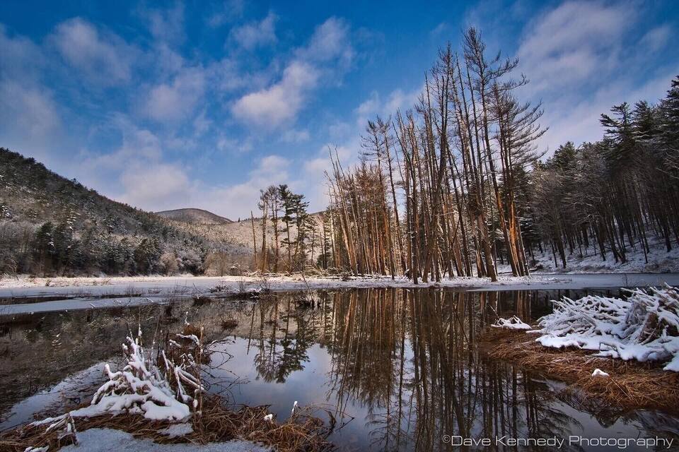A serene winter landscape with a snow-covered lake, tall trees, and a hilly backdrop.