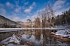 Beaver pond in the morning light.