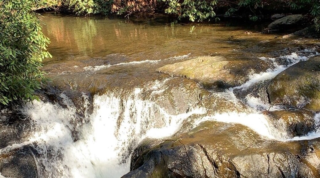 Spent a few hours hiking Wild Creek Trail at Beltzville State Park. The weather was sunny and beautiful. Nicole and I enjoyed the natural beauty and fresh air right in our backyard.