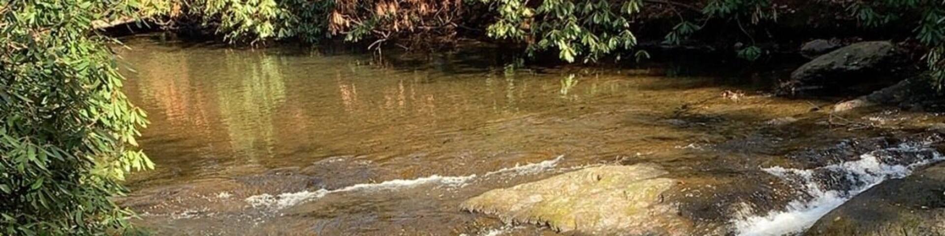 Spent a few hours hiking Wild Creek Trail at Beltzville State Park. The weather was sunny and beautiful. Nicole and I enjoyed the natural beauty and fresh air right in our backyard.