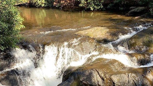 Spent a few hours hiking Wild Creek Trail at Beltzville State Park. The weather was sunny and beautiful. Nicole and I enjoyed the natural beauty and fresh air right in our backyard.