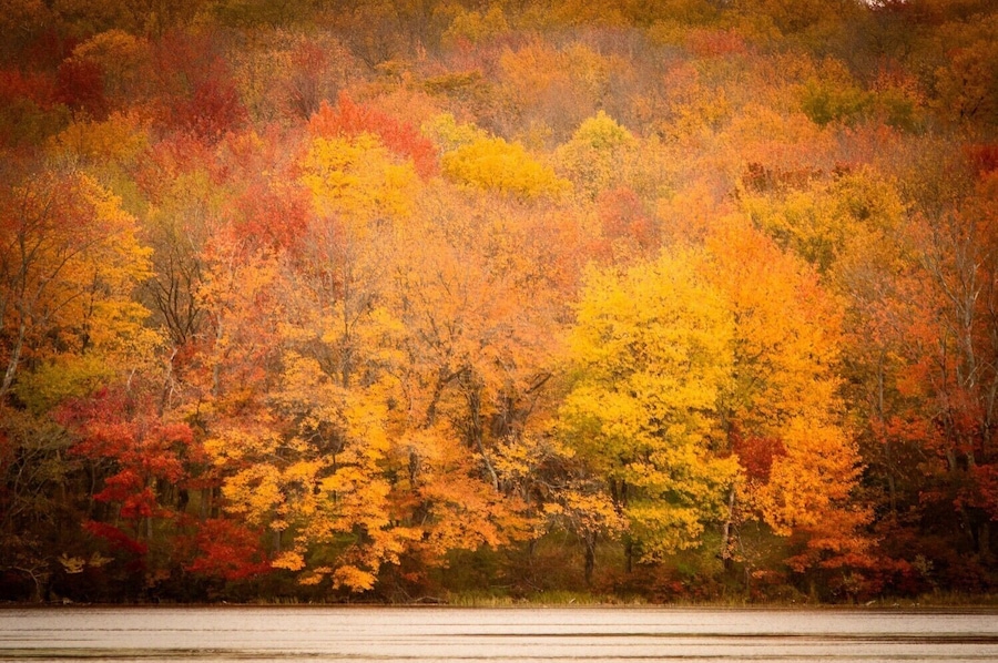 Autumn
