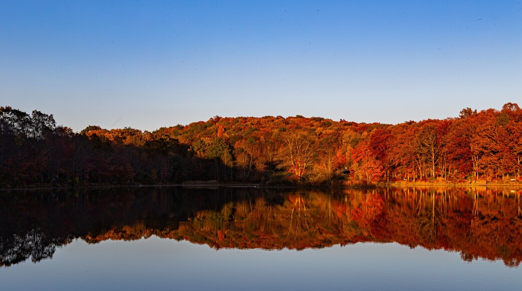 Nescopeck 州立公園