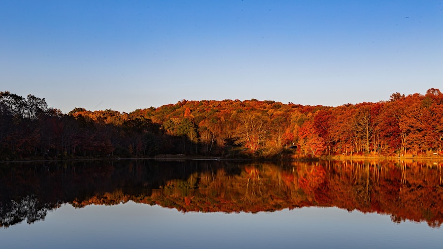 Nescopeck State Park