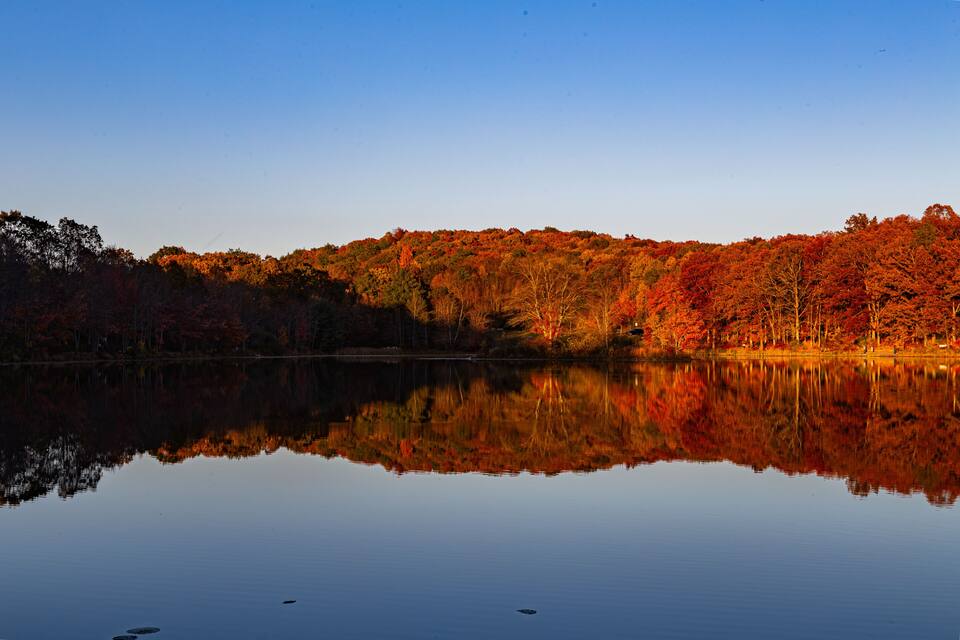 Un llac tranquil que reflecteix arbres d'arbres d'automn amb fullatge roig i taronja.