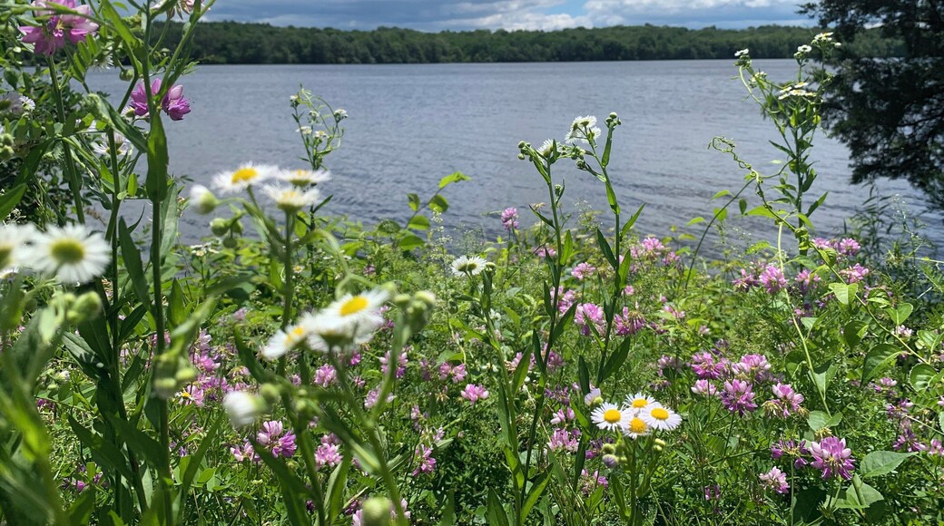 Peaceful lake where you can boat, kayak, and paddle board.