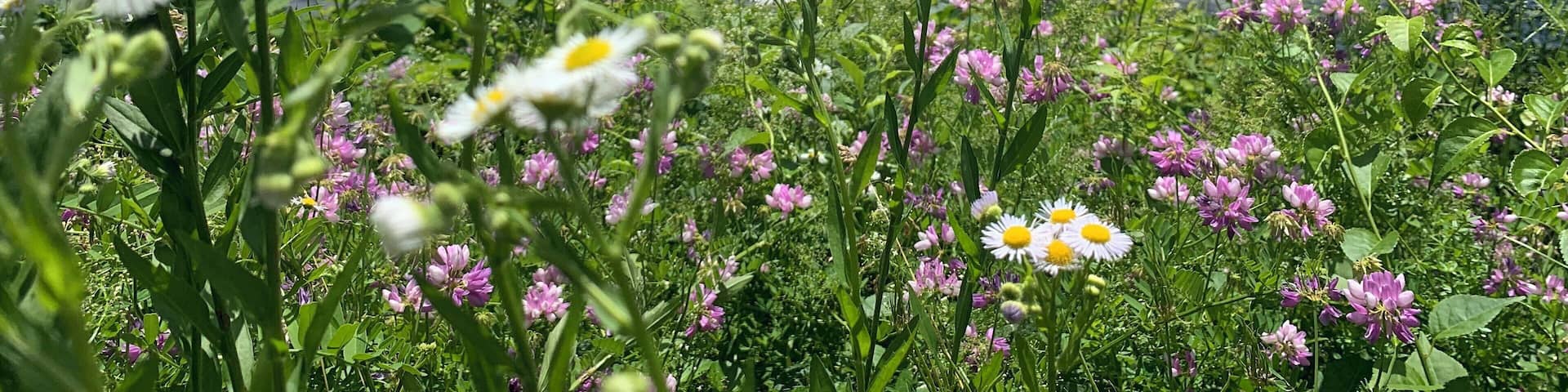 Peaceful lake where you can boat, kayak, and paddle board.