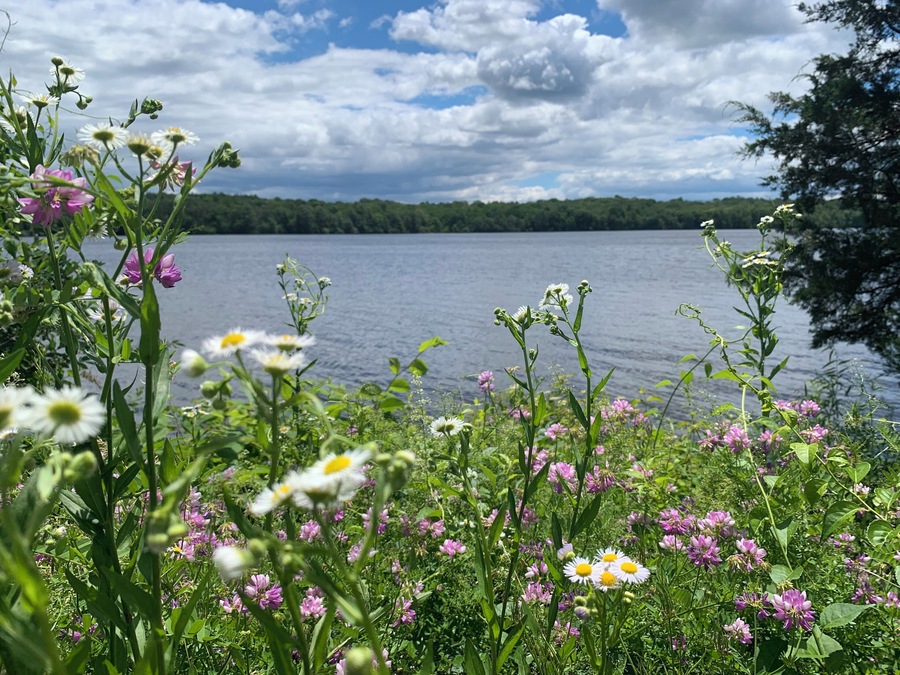 Peaceful lake where you can boat, kayak, and paddle board.