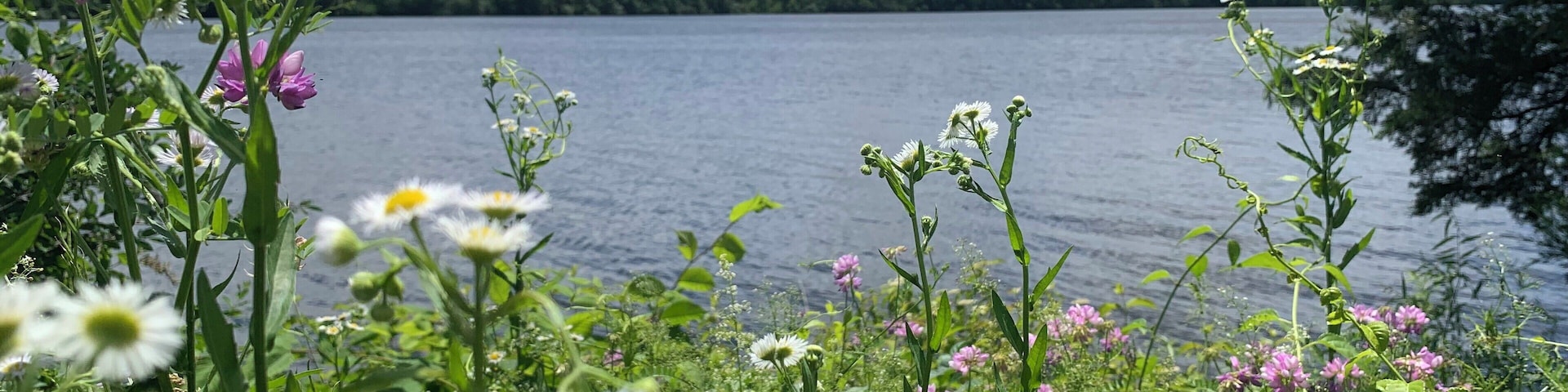 Peaceful lake where you can boat, kayak, and paddle board.
