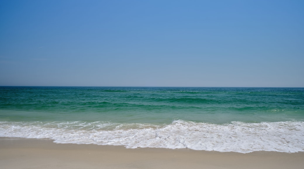 Island Beach State Park