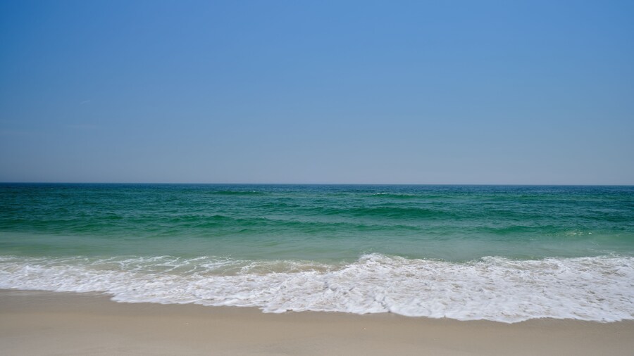 Island Beach State Park