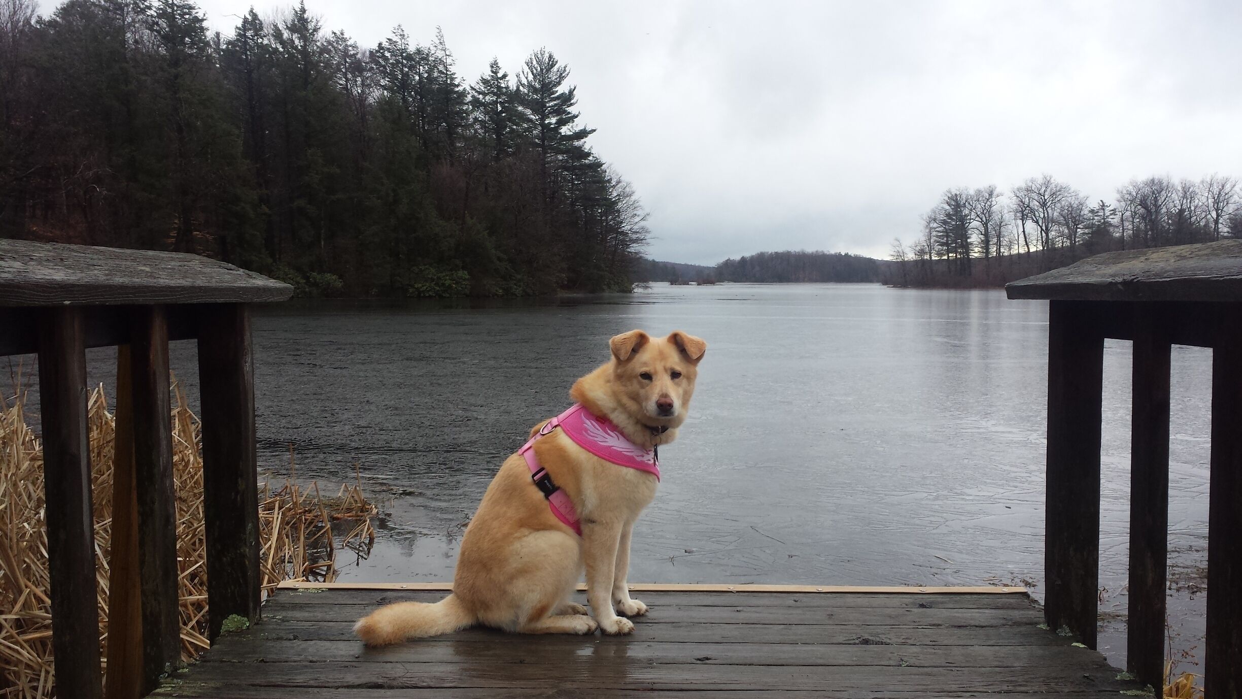 Cold day at the park. We had it all to ourselves a few weeks ago. 