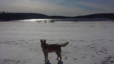 Looking at the snow filled beach.
