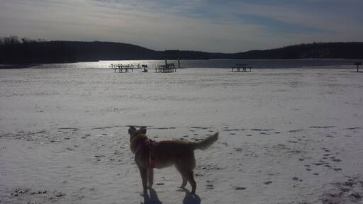 Looking at the snow filled beach.
