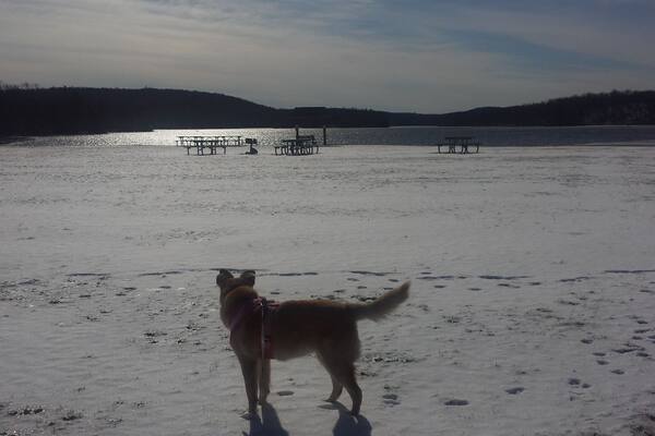 Looking at the snow filled beach.