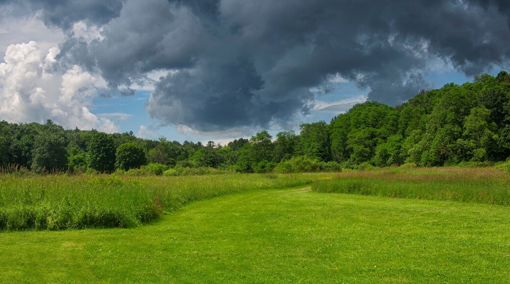 Sunnybrook State Park