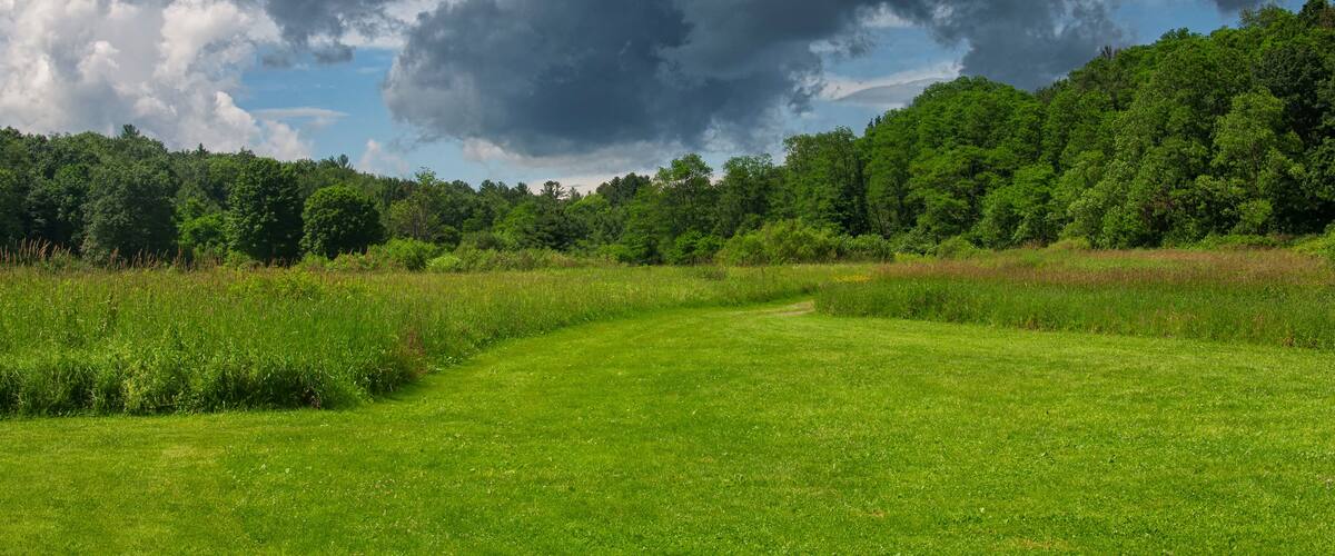 a field and stormy sky nature landscape