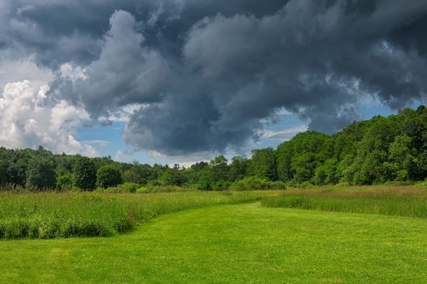 a field and stormy sky nature landscape