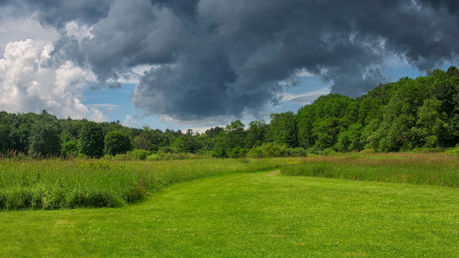 a field and stormy sky nature landscape