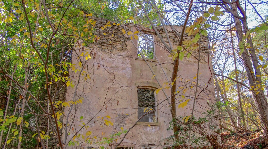 Franny Reese State Park