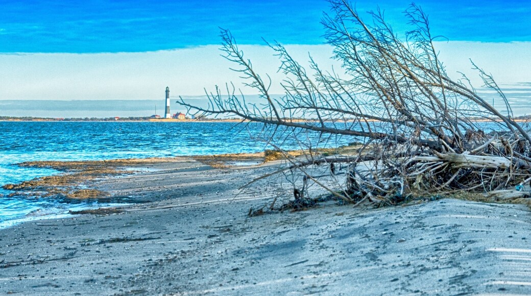 This is a view of Fire Island Lighthouse from the beaches of Captree State Park.