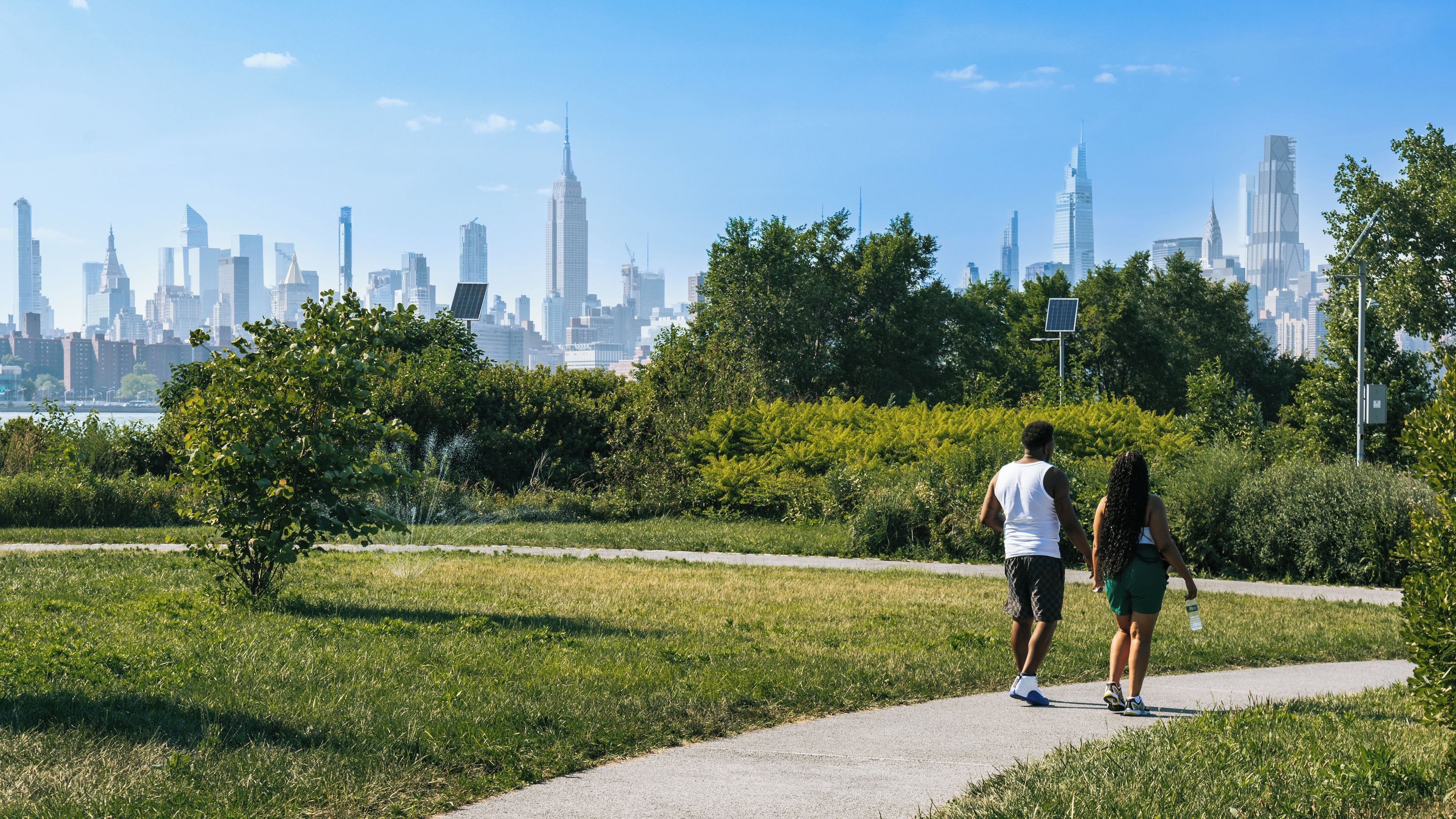 A park with a city skyline in the background.