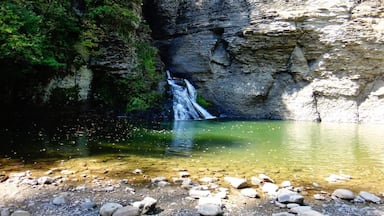 Mine Kill State Park is named for Mine Kill Creek, which runs through a narrow gorge in the park and features a 80-foot waterfall.