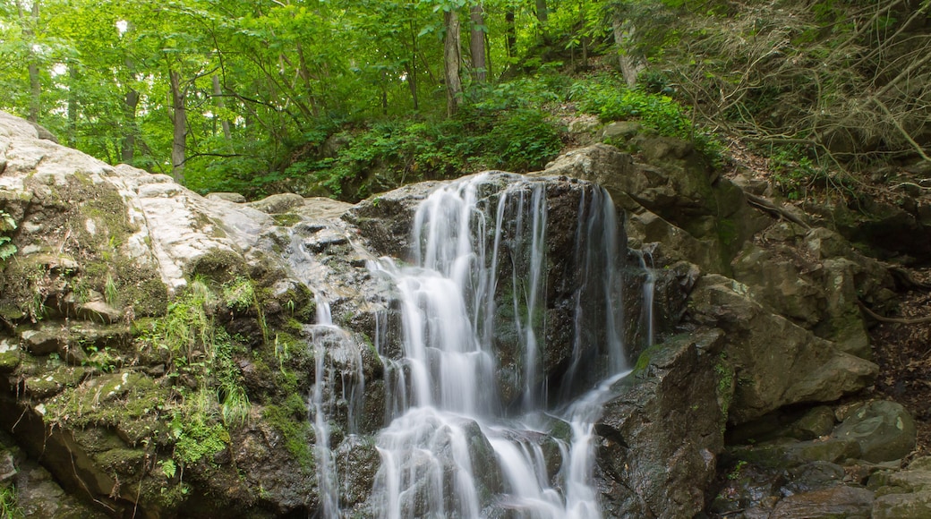 Valley Stream State Park