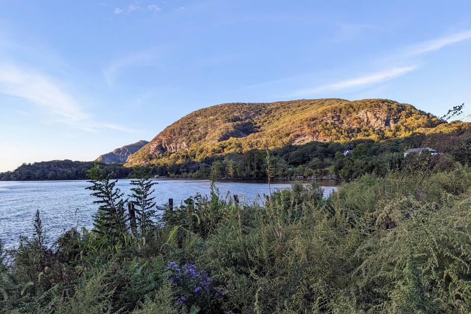 A lake surrounded by dense vegetation and a hill with a house in the background.
