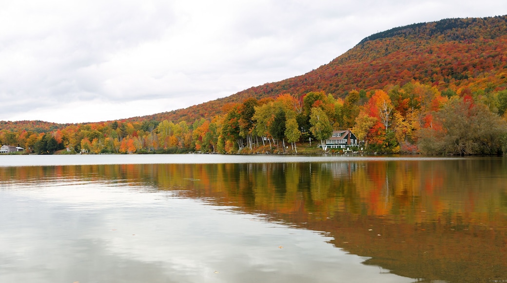 エルモア州立公園
