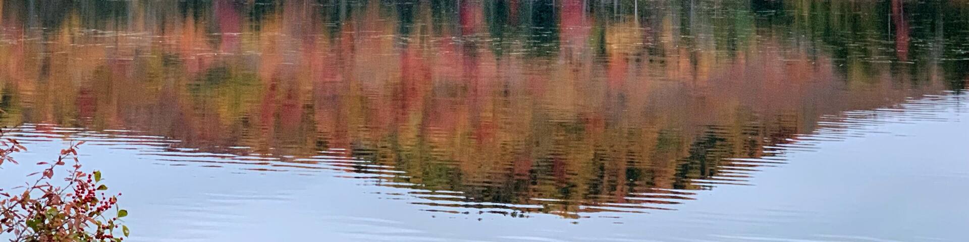 I wished I could paddle and get closer to the colors
#autumn #fallfoliage #nature #leafpeeping