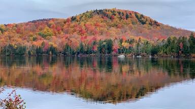 I wished I could paddle and get closer to the colors
#autumn #fallfoliage #nature #leafpeeping
