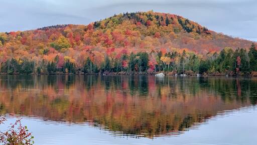 I wished I could paddle and get closer to the colors
#autumn #fallfoliage #nature #leafpeeping