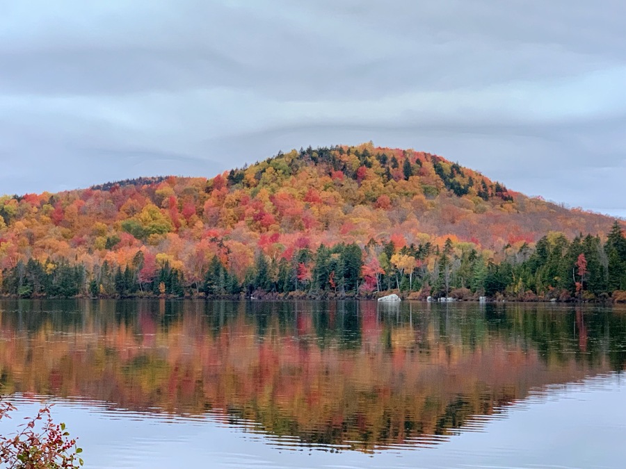 I wished I could paddle and get closer to the colors
#autumn #fallfoliage #nature #leafpeeping