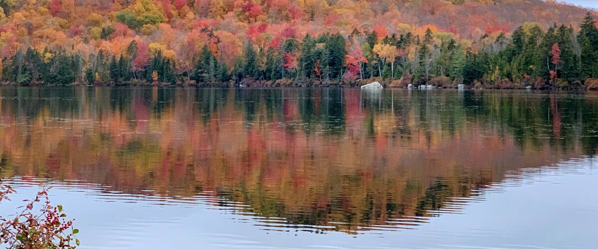 A calm lake reflecting colorful autumn foliage on a hill.