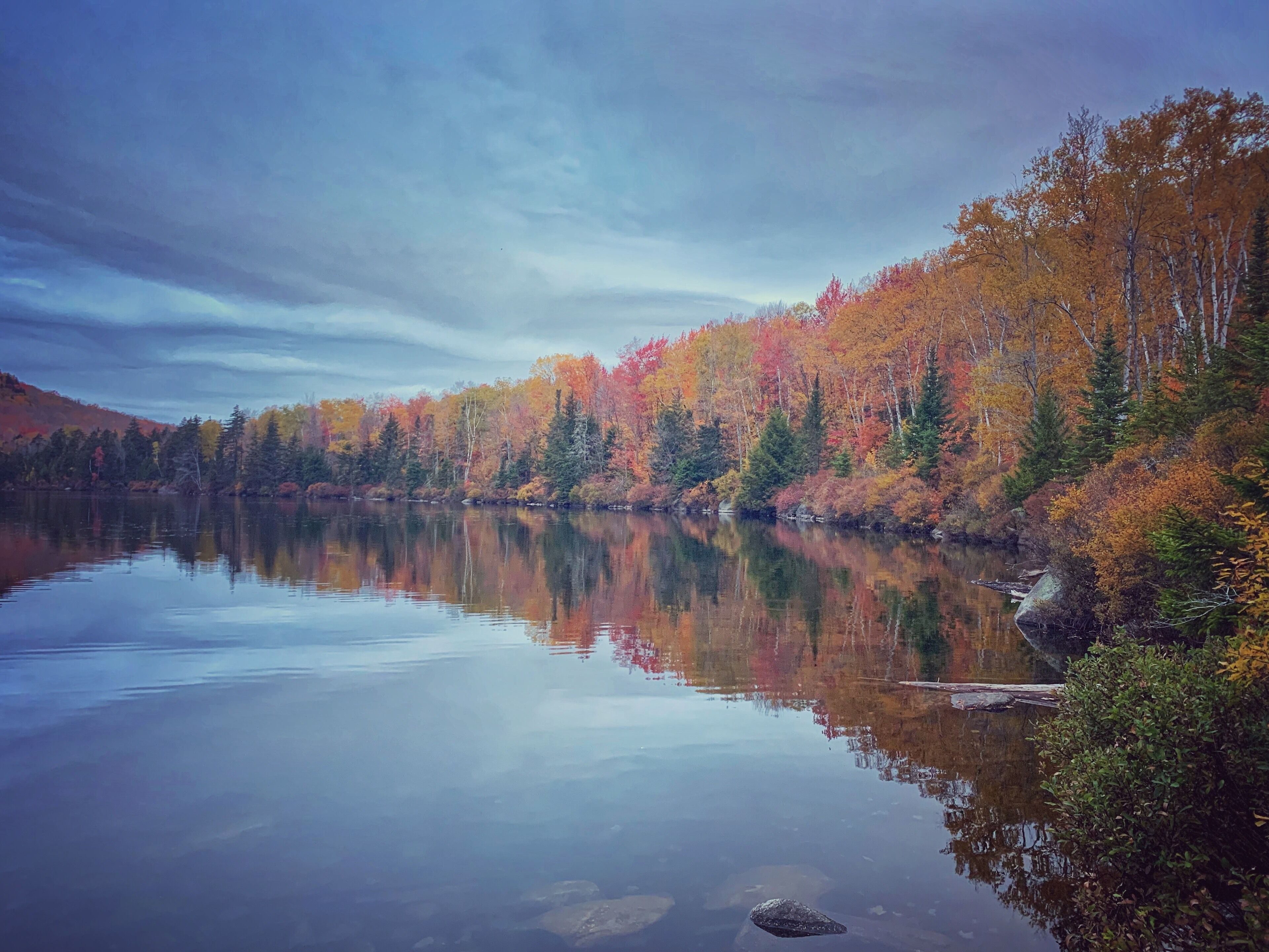 #autumn #fallfoliage #nature #leafpeeping