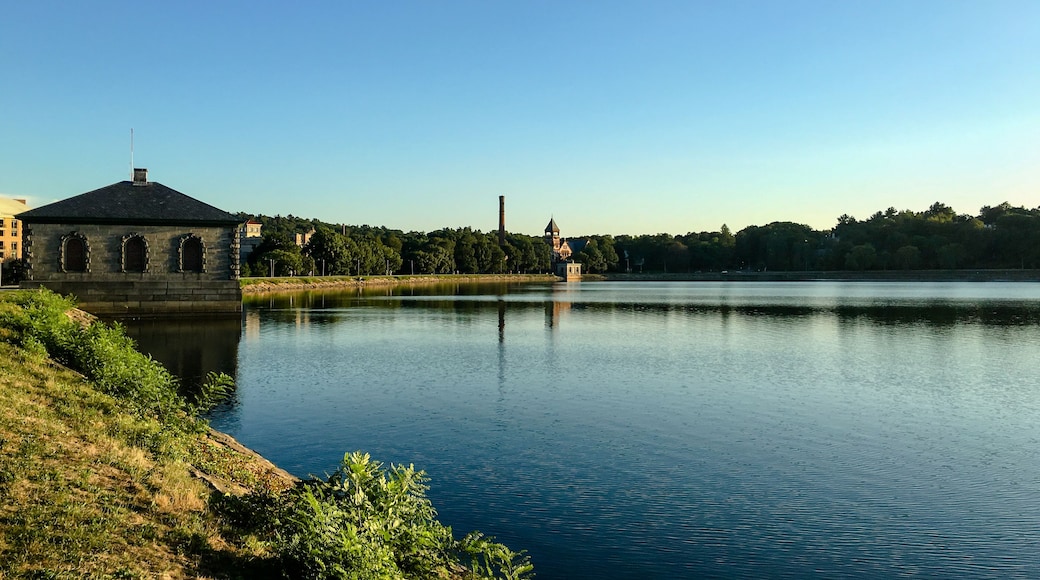 Chestnut Hill Reservation