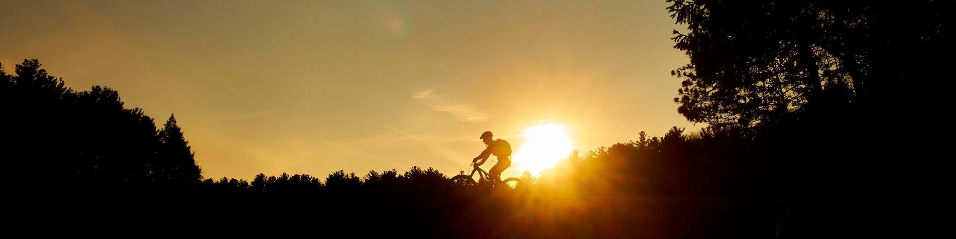 Silhouette Of Mountain Biker In Middlesex Fells Reservation, Massachusetts, Usa