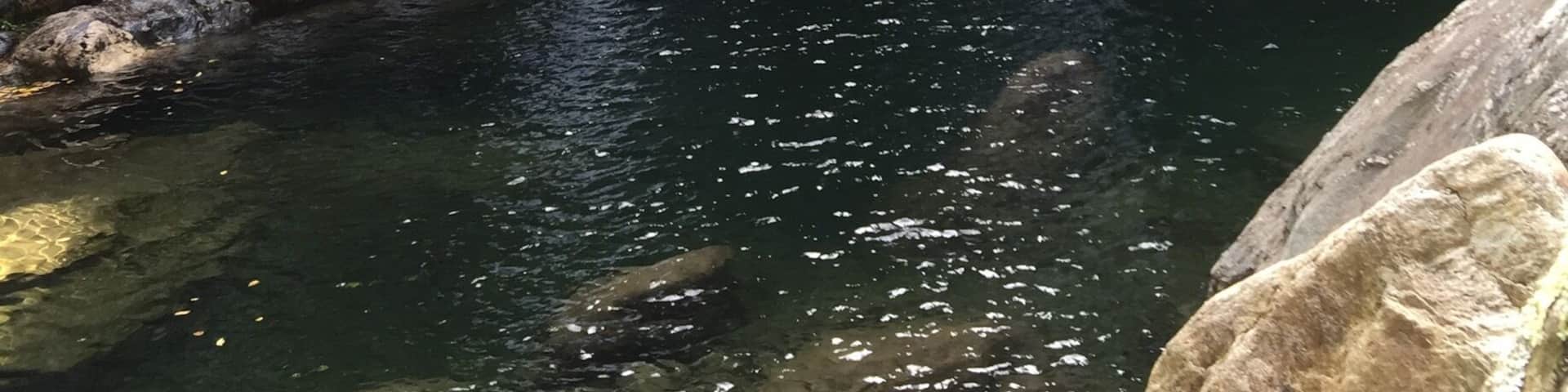 Take the easy path by parking at the bottom of the hill, or drive to the lot at the top for a greater challenge scrabbling down the mountain to the falls. Gorgeous, peaceful, and not over-crowded!