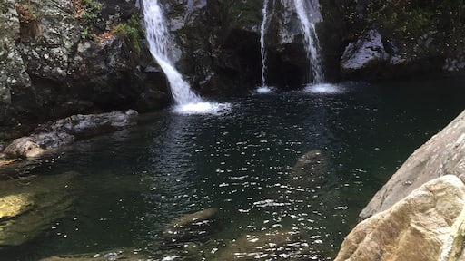 Take the easy path by parking at the bottom of the hill, or drive to the lot at the top for a greater challenge scrabbling down the mountain to the falls. Gorgeous, peaceful, and not over-crowded!