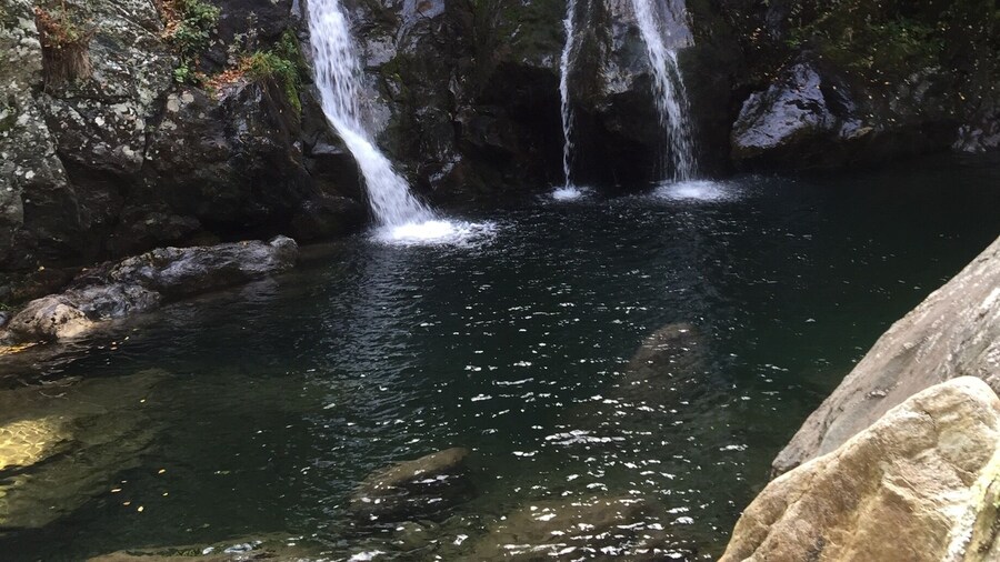 Take the easy path by parking at the bottom of the hill, or drive to the lot at the top for a greater challenge scrabbling down the mountain to the falls. Gorgeous, peaceful, and not over-crowded!