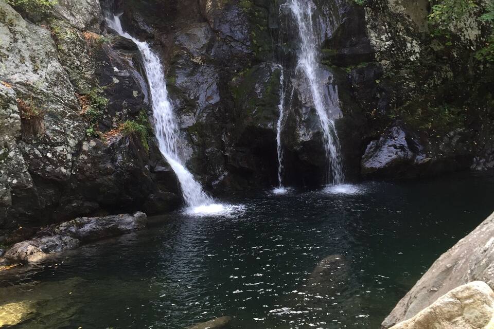 Una cascata che si getta su rocce in una zona boschiva.