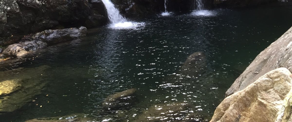 A waterfall cascading over rocks in a forested area.