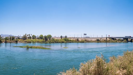 Panorama of The Colorado River at Blythe, California, looking at the River from the West Bank