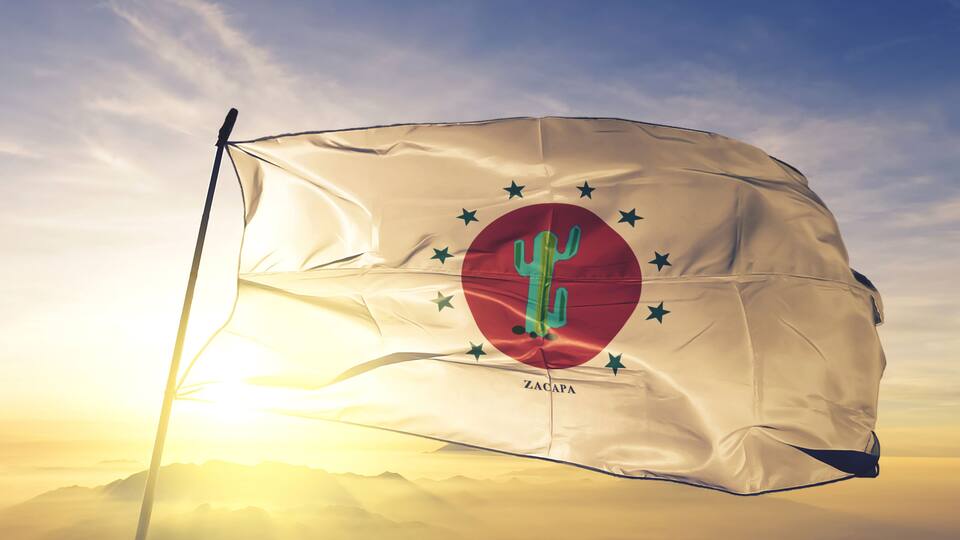 A flag with a cactus emblem and stars, fluttering in the wind against a sunset sky.