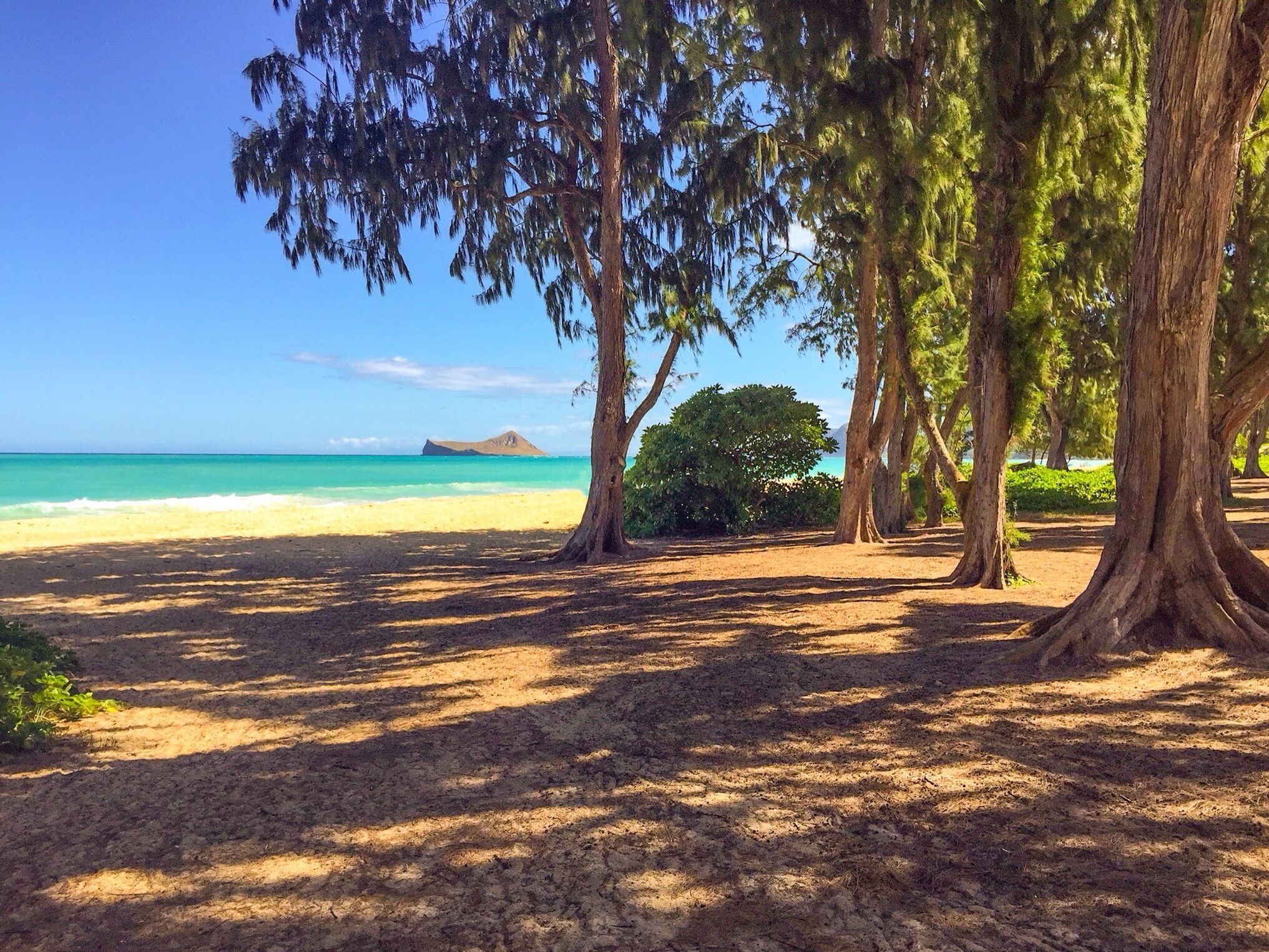 Windward side of Island of Oahu 