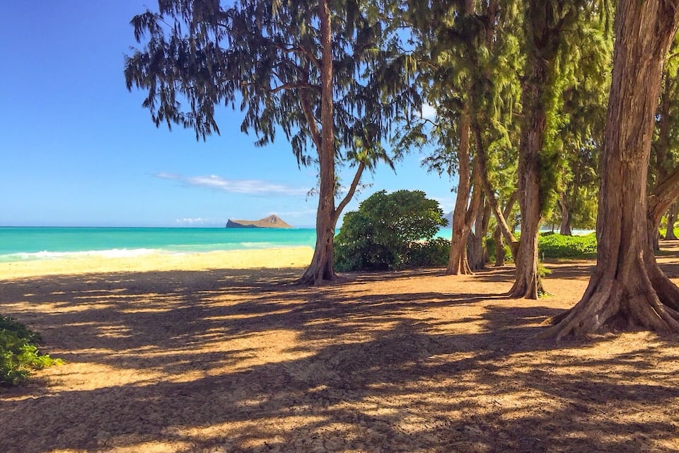 A beach with clear turquoise water, sandy shore, and tall trees providing shade.
