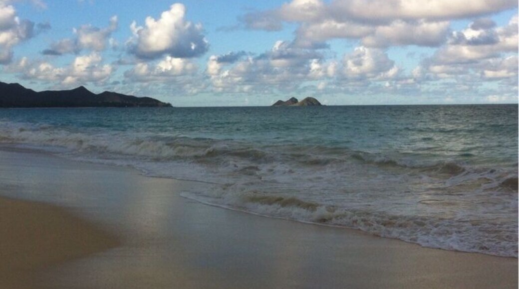 Beautiful day at the #beach today #ruffiansadventure 👙🌴☀️